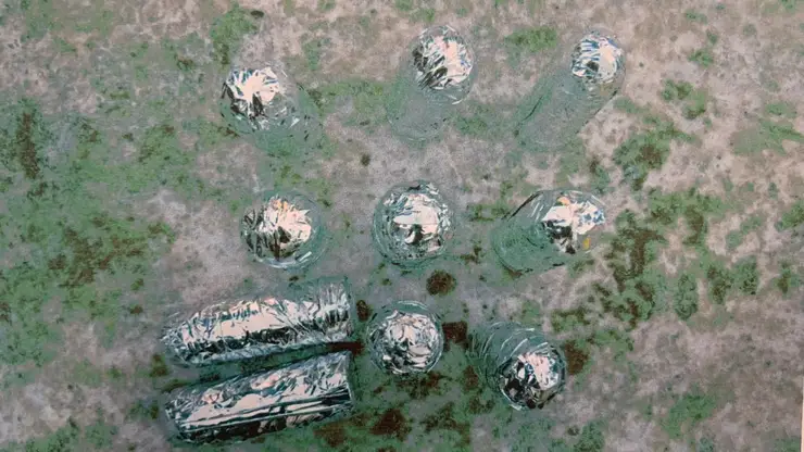 В Красноярске двое мужчин пытались продать иностранцам 2 кг ртути