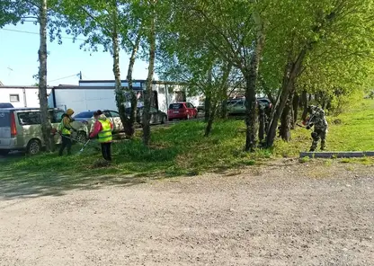 В Красноярске стартовали работы по покосу травы и благоустройству газонов