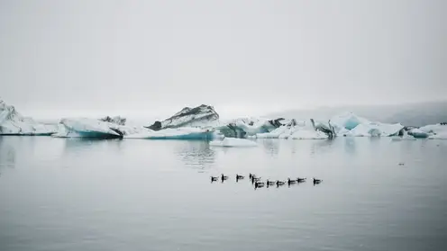 Буклет с автографом Фёдора Конюхова продают в Красноярске за миллион рублей