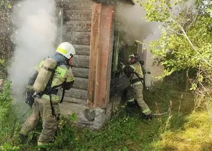 За сутки в Красноярском крае ликвидировали 12 пожаров