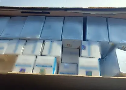 Красноярские таможенники пресекли контрабанду запрещенных препаратов для похудения