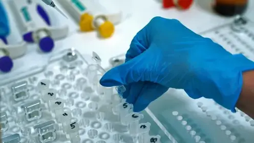 Омичам предложили зарегистрировать ДНК в федеральной базе