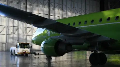 Новосибирские таможенники рассказали, куда чаще всего вывозят животных из Толмачево