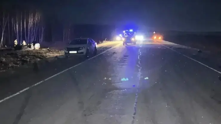 Три человека погибли в ДТП с лошадью на трассе в Красноярском крае