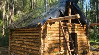 Стационар для наблюдения за ирбисами появился на юге Красноярского края