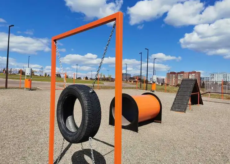 В Красноярске в сентябре появятся новые площадки для выгула собак