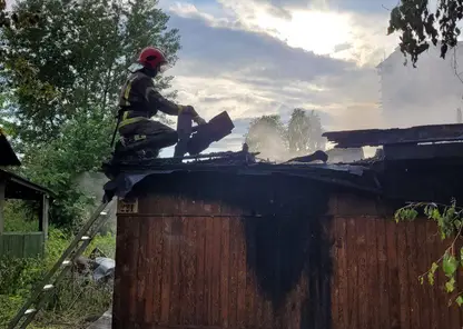 Два дачных дома загорелось в Красноярске после попадания молнии