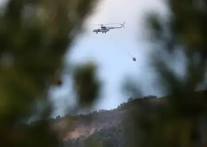 Девять лесных пожаров локализовали в Забайкалье за сутки