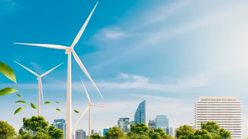 Красноярск вошел в тройку лидеров рейтинга самых экологически чистых городов России в 2024 году