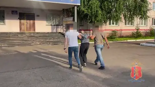 Житель Железногорска задержан за кражу телевизора и хранение наркотиков