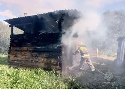 В Красноярском крае за сутки произошло 11 пожаров, один человек пострадал