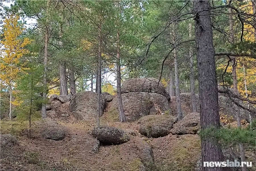 Фото: Newslab.ru