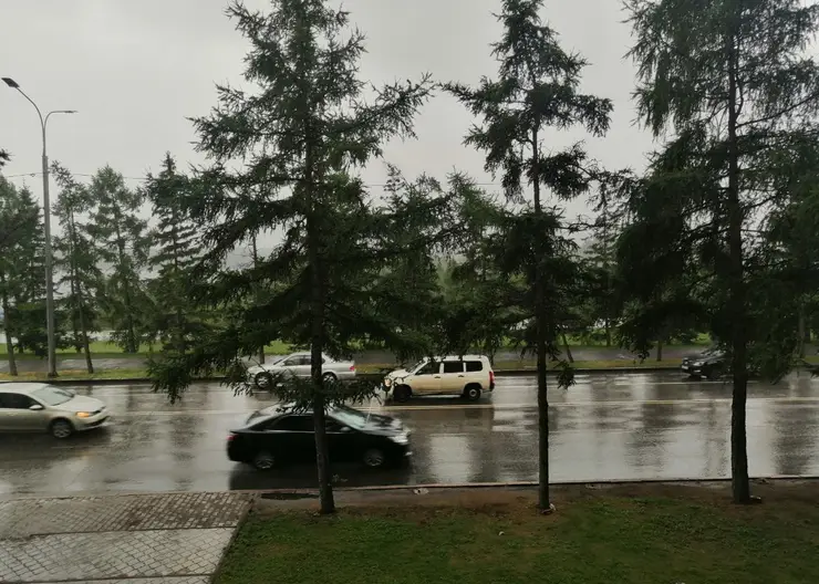 Грозы и туман прогнозируют синоптики в Красноярске 12 июля
