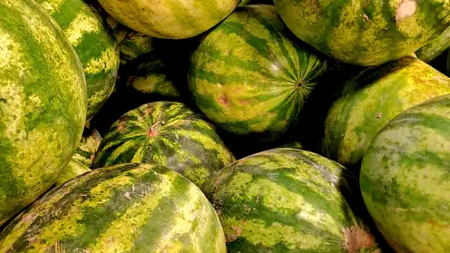 Житель Алтайского края с бензопилой гонялся за продавцом фруктов из-за некачественного арбуза