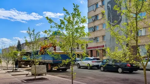 На трёх центральных улицах Красноярска высадят почти 2000 растений