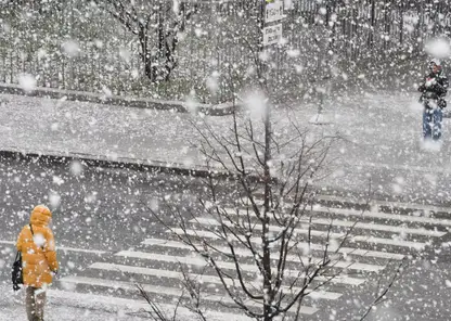 Дождь, снег и переменную облачность обещают в Красноярске 15-го марта