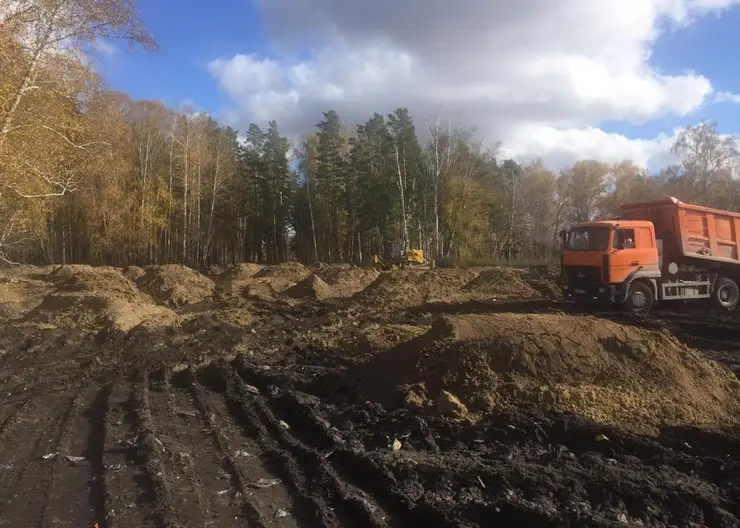 В Новосибирской области благодаря прокуратуре убрали нелегальную свалку площадью 3,5 га