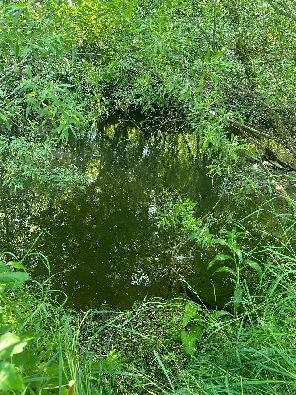 Фото: МВД по Красноярскому краю / Telegram