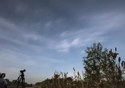 Гороскоп на 14 августа для всех знаков зодиака