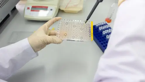 Новые вещества для борьбы с бактериями создают ученые