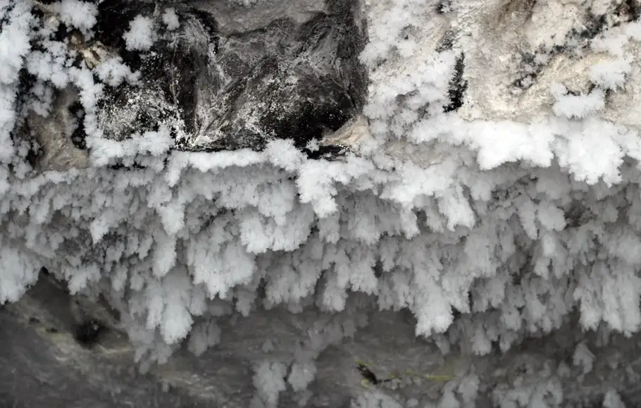 Фото: sibnovosti.ru