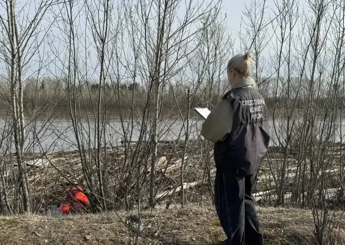 В Красноярском крае возбуждено уголовное дело по факту гибели 7-летнего мальчика, утонувшего в реке