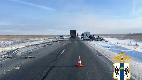 Выезд на встречную полосу привел к гибели двух человек в Новосибирской области