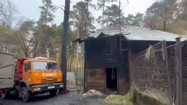 В прокуратуре назвали предварительную причину пожара в зоопарке Новосибирска