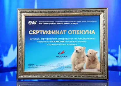 Роскосмос взял кураторство над медвежатами Белкой и Стрелкой из Новосибирского зоопарка