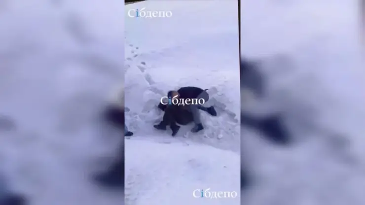 Жестокая драка произошла в Кемеровском ТРЦ