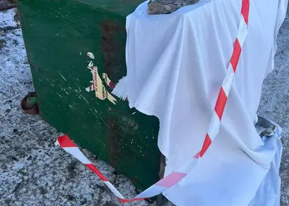 У 16-летней красноярки, выбросившей своего новорожденного ребенка в мусоропровод, нашли психическое расстройство