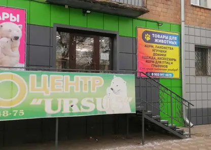 В Хакасии возбуждены дела против ветеринарных клиник за продажу лекарств без лицензии