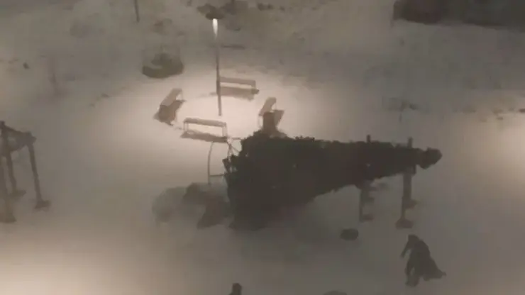 В Красноярске сильный ветер повалил ёлку в Преображенском микрорайоне