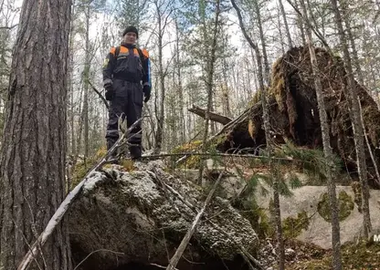 Пропавшую семью в Партизанском районе ищут с помощью беспилотников