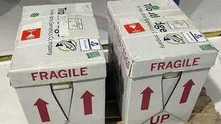 В Красноярск прибыла партия племенной икры радужной форели для воспроизводства биоресурсов