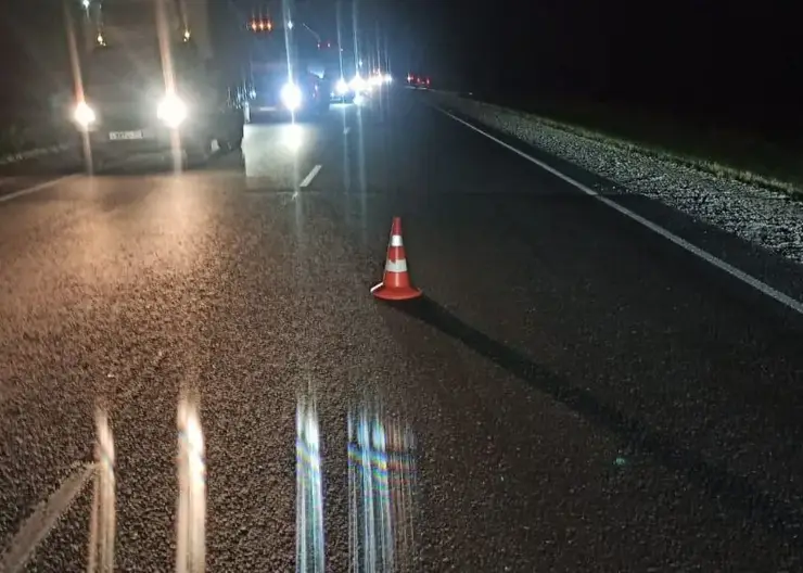 Два человека погибли в ДТП с лосем в Новосибирской области