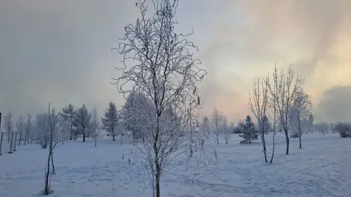 Снег и -2. Прогноз погоды на 15 декабря в Красноярске