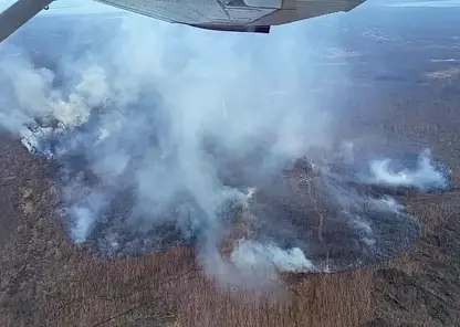 В Приморье за сутки выявили 20 лесных пожаров, один из них продолжает действовать