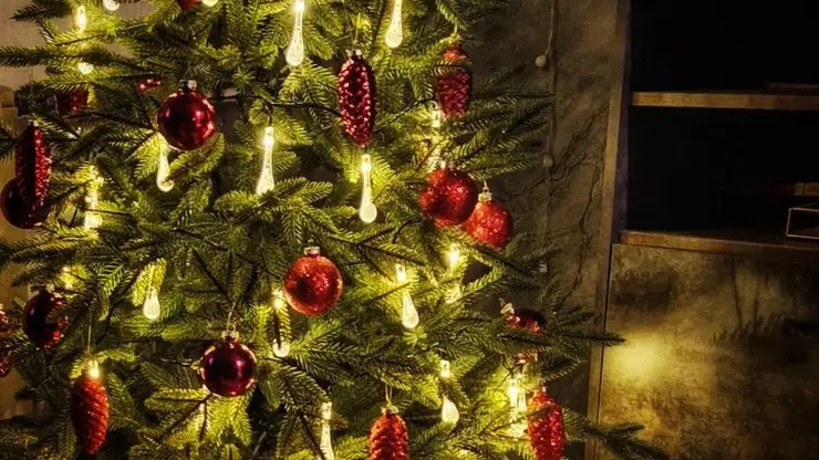 Красноярцам рассказали, как встретить Новый год-2026 с максимальной удачей