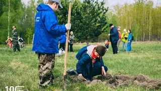 Лаборатория под открытым небом. Молодежный кедровый сад разбили решетневцы на острове Татышев Лаборатория под открытым небом. Молодежный кедровый сад разбили решетневцы на острове Татышев