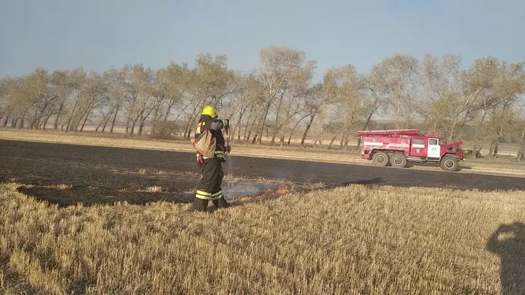 В Красноярском крае горел лес в районе озера Большое