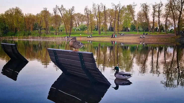 В Красноярске потеплеет до +22 градусов уже завтра