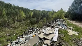 18 свалок уберут в семи территориях Красноярского края до конца года