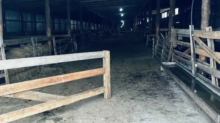 Россельхознадзор выявил ряд ветеринарных нарушений у хакасских фермеров