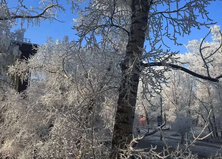 При какой температуре отменяют уроки в школах Красноярска в морозы: официальные нормы