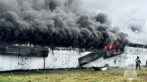 Крупный пожар охватил 2000 квадратных метров на птицефабрике в Томске