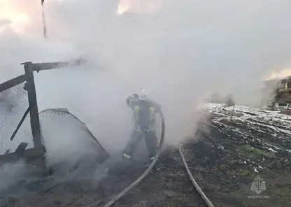 В Красноярском крае за сутки потушили 14 пожаров