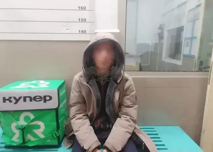 В Новосибирске задержали курьера, напавшего на пожилую женщину в подземном переходе