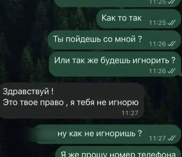Фото: МВД 24