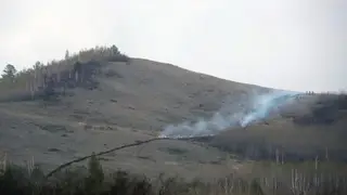 Пожароопасный сезон открыли в нескольких лесничествах Красноярского края